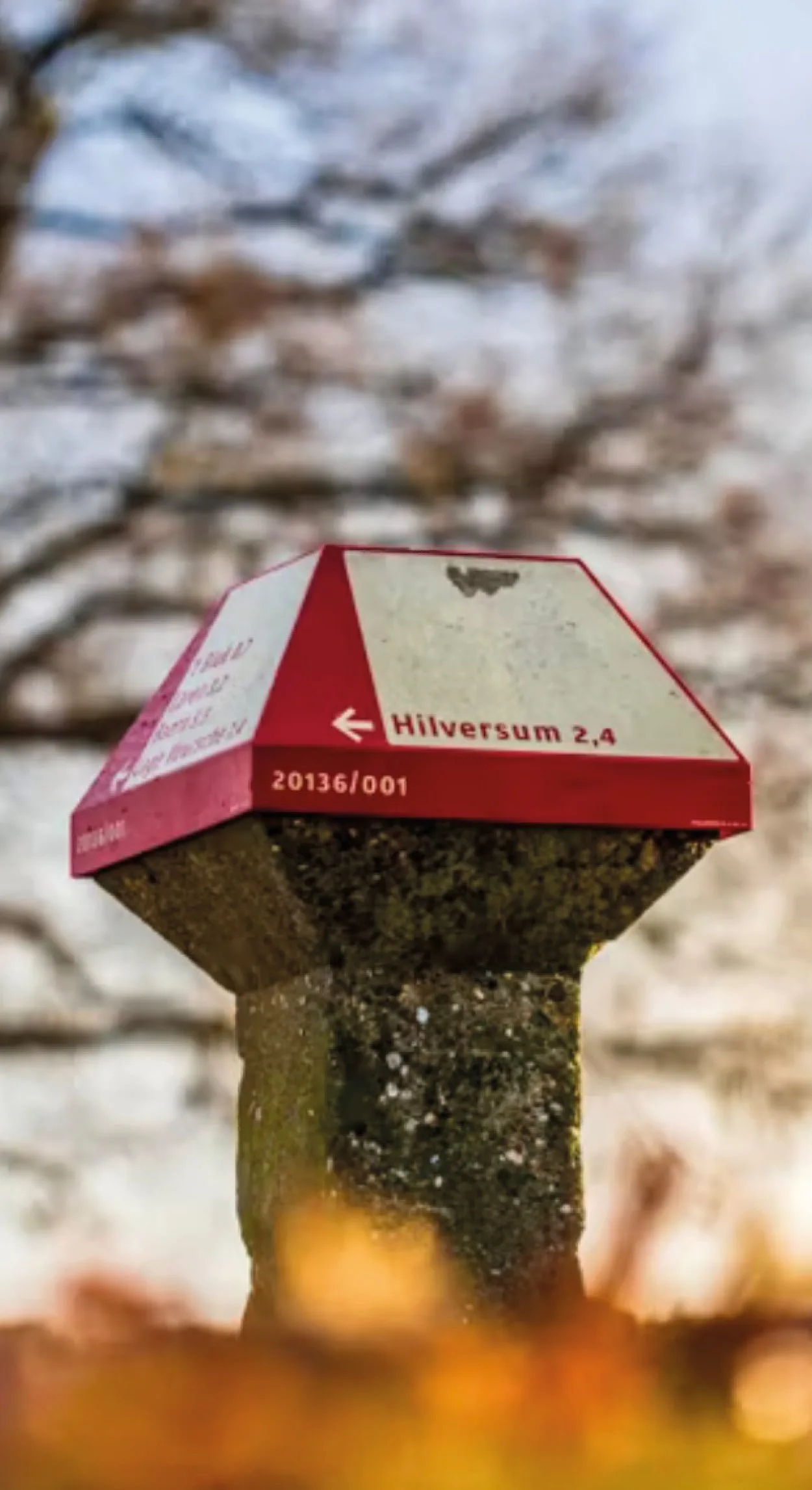 Het Gooi middelpunt van de wereld