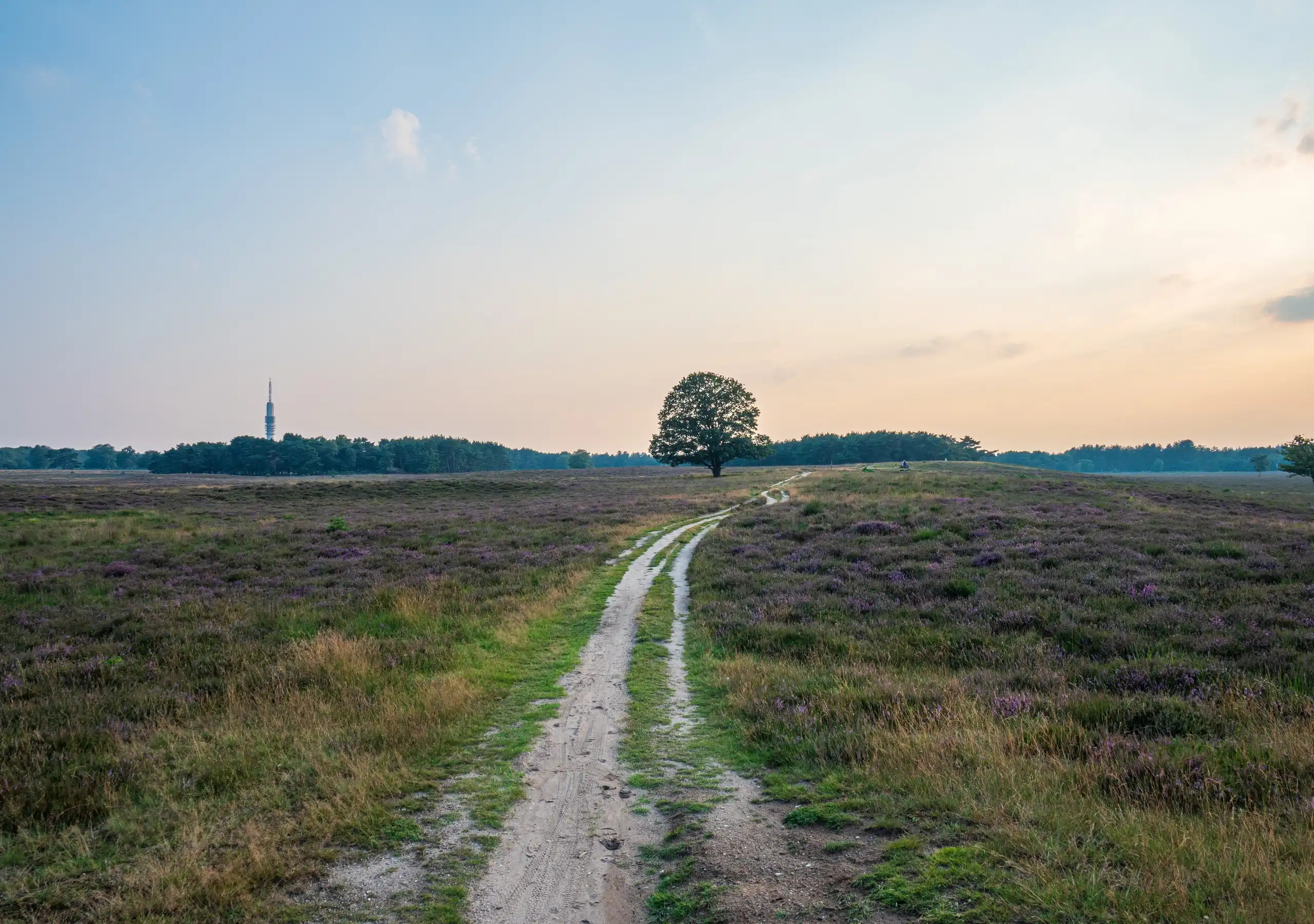 Voorzieningen voor gezinnen in hilversum